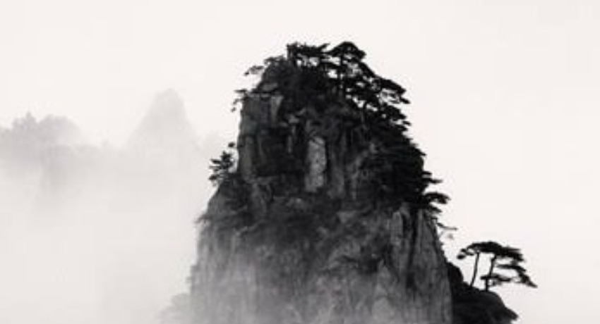 品牌案例库 - 大象传媒在线观看 - 先锋创意概念实验与输出平台