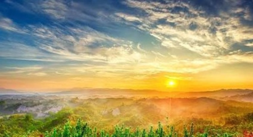 项目进度云 - 大象传媒官网 - 客户专属项目动态更新中心